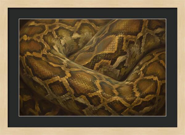Reticulated Python Elegance