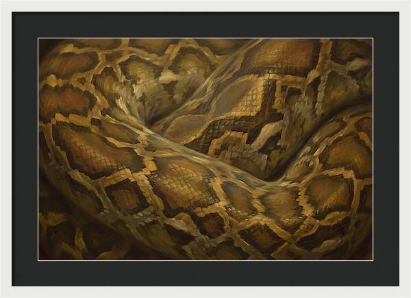 Reticulated Python Elegance