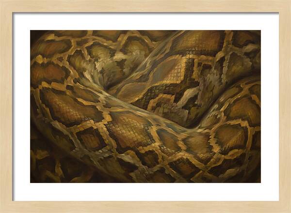 Reticulated Python Elegance