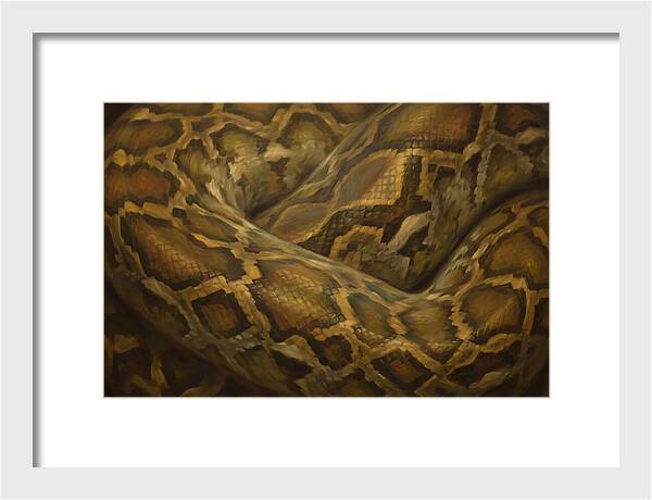 Reticulated Python Elegance