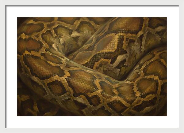 Reticulated Python Elegance