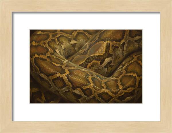 Reticulated Python Elegance