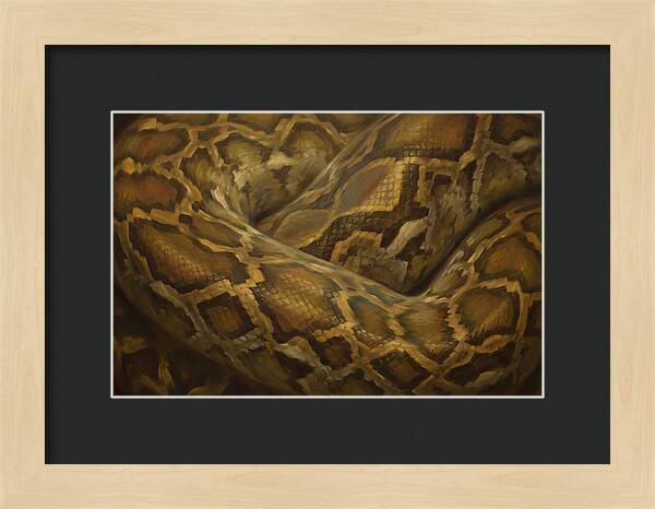 Reticulated Python Elegance