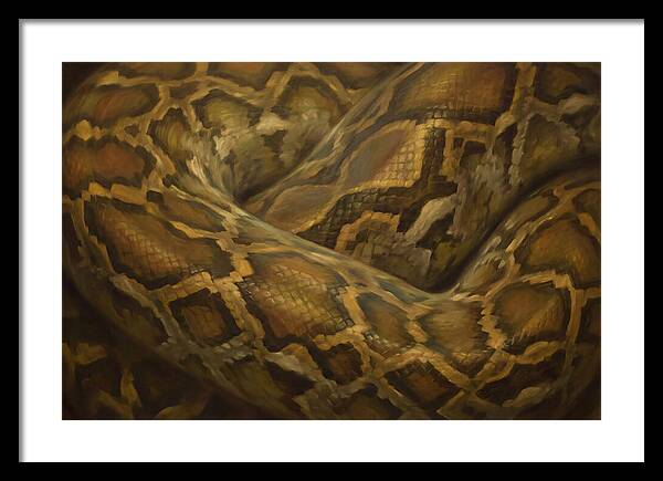 Reticulated Python Elegance