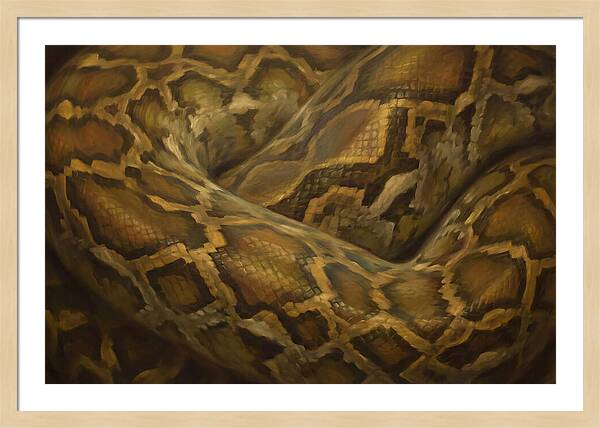 Reticulated Python Elegance