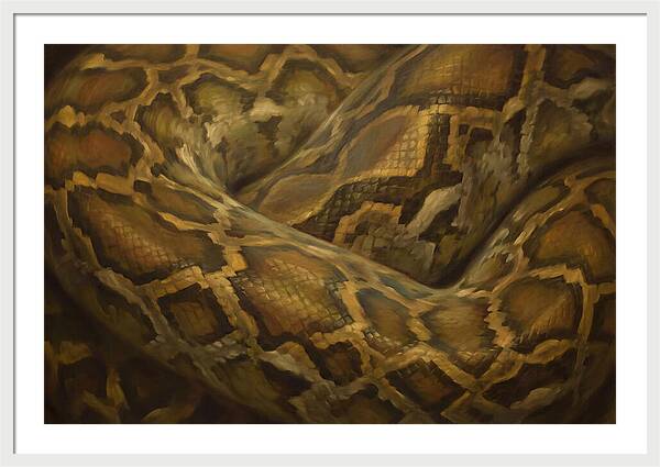 Reticulated Python Elegance
