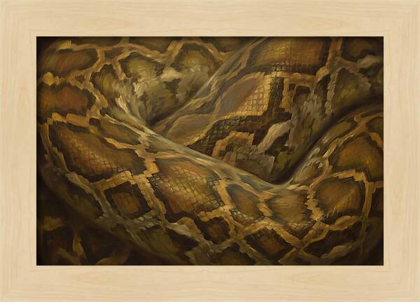 Reticulated Python Elegance