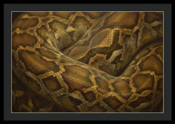 Reticulated Python Elegance