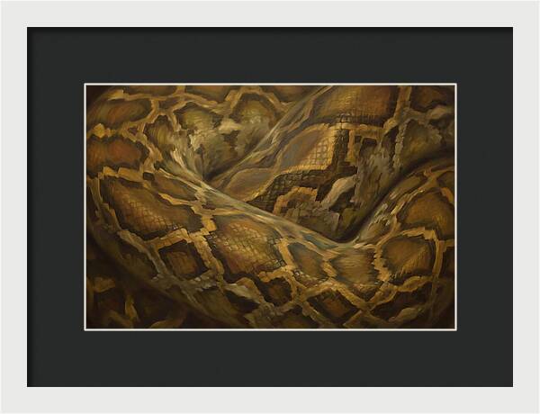 Reticulated Python Elegance