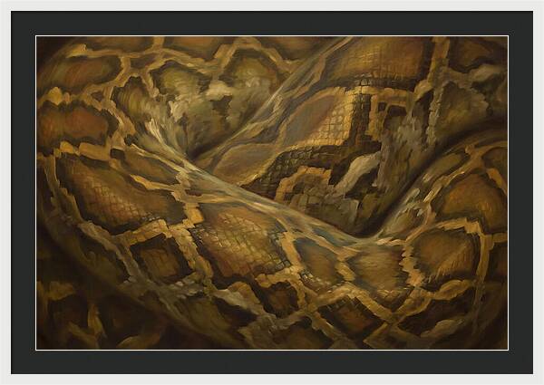 Reticulated Python Elegance