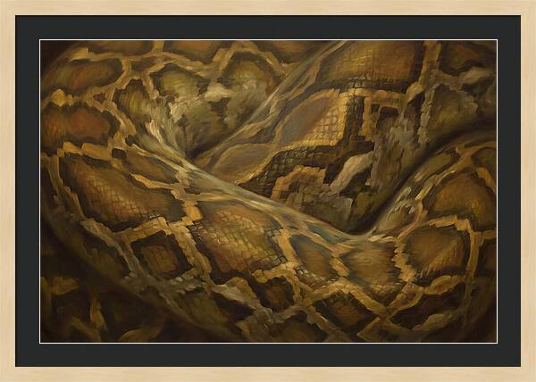 Reticulated Python Elegance
