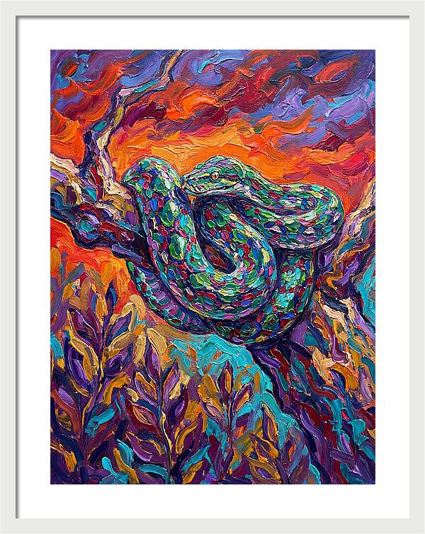 Reticulated Python In Color