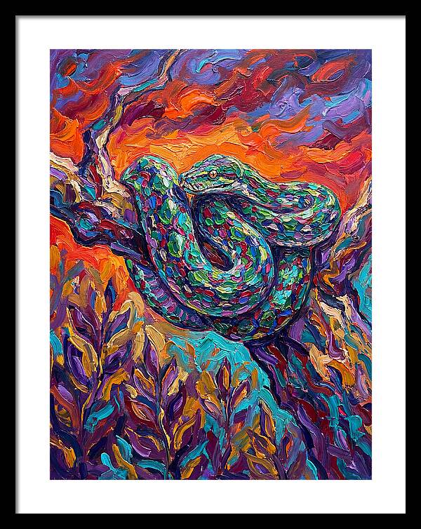 Reticulated Python In Color