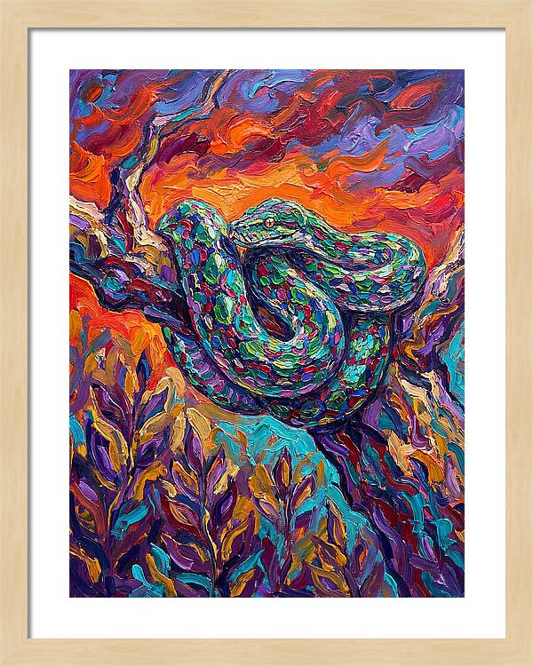 Reticulated Python In Color