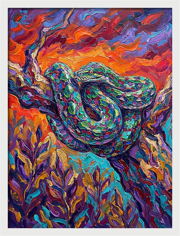 Reticulated Python In Color