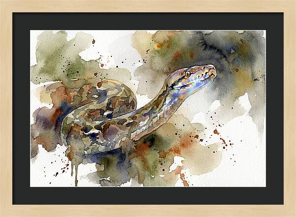 Reticulated Python Watercolor