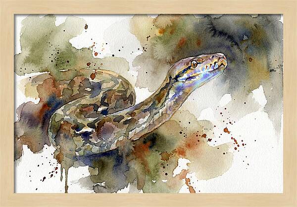 Reticulated Python Watercolor