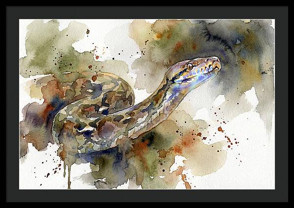 Reticulated Python Watercolor