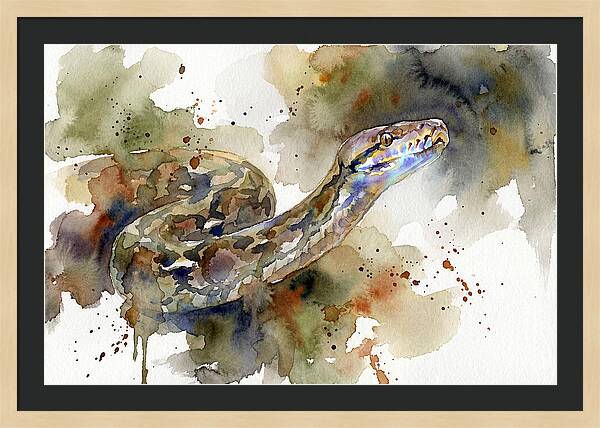 Reticulated Python Watercolor