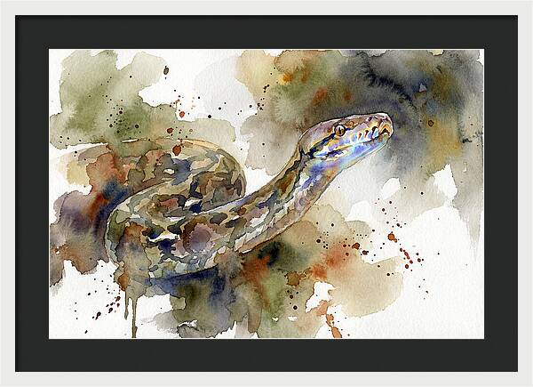 Reticulated Python Watercolor