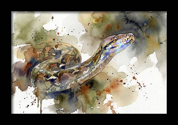 Reticulated Python Watercolor