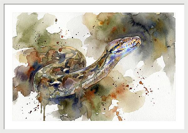Reticulated Python Watercolor
