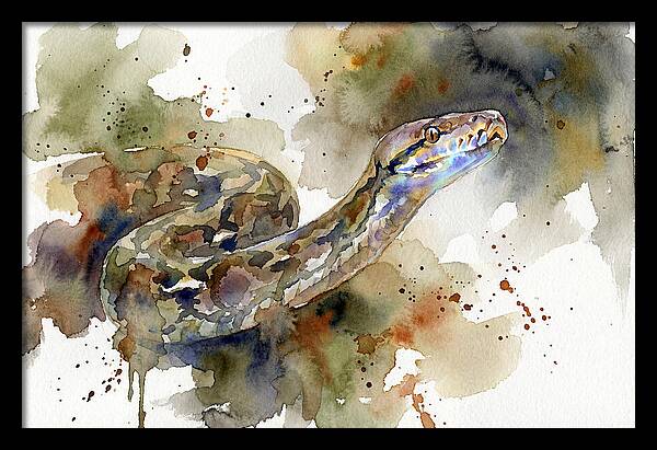 Reticulated Python Watercolor