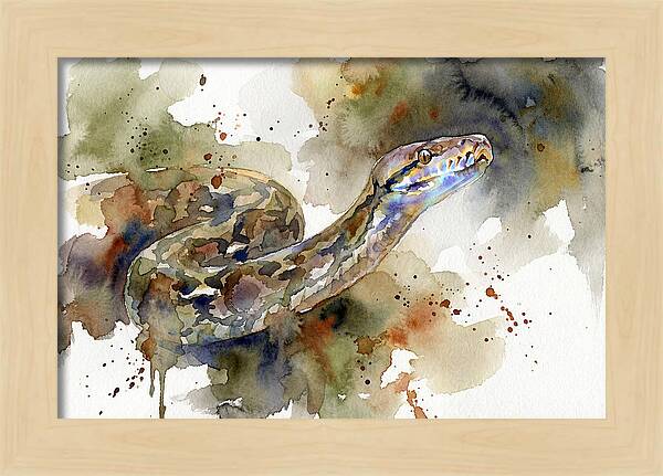 Reticulated Python Watercolor