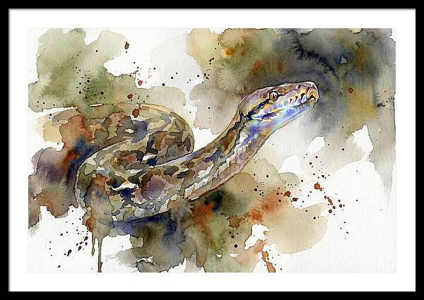 Reticulated Python Watercolor