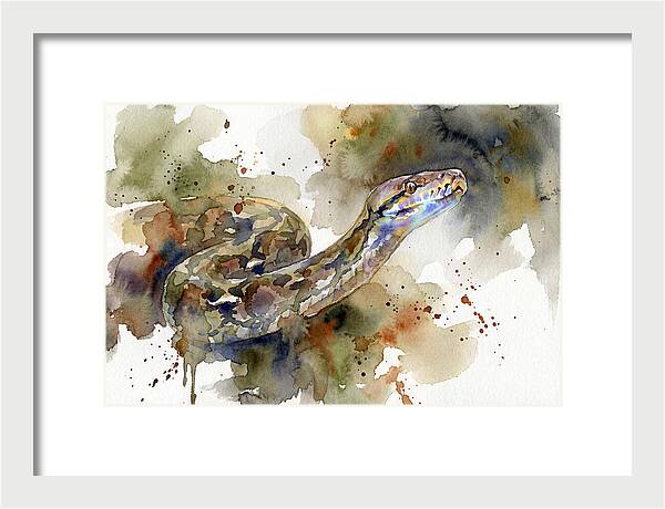 Reticulated Python Watercolor