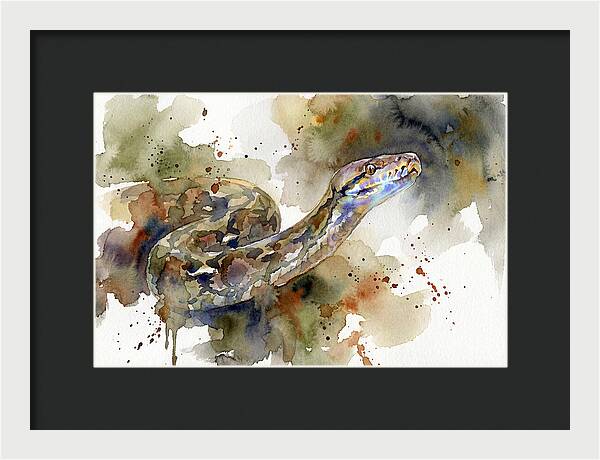 Reticulated Python Watercolor