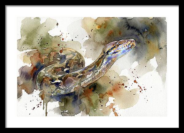 Reticulated Python Watercolor