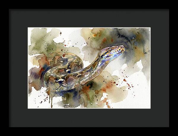 Reticulated Python Watercolor