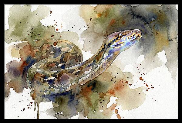 Reticulated Python Watercolor