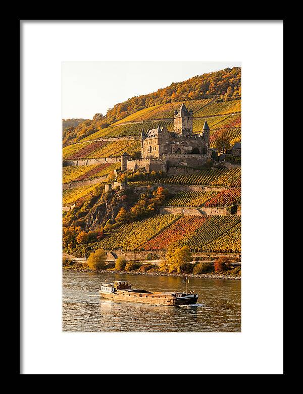Rhine Valley Castle At Golden Hour