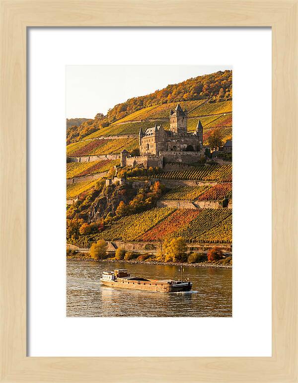 Rhine Valley Castle At Golden Hour