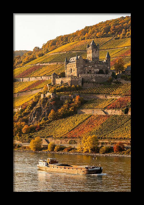 Rhine Valley Castle At Golden Hour