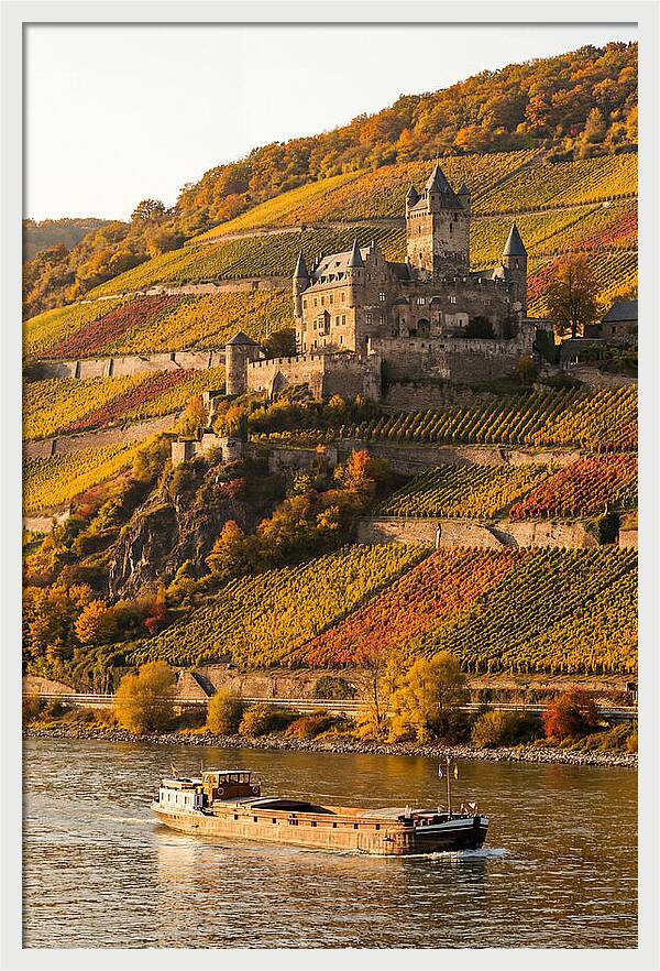 Rhine Valley Castle At Golden Hour