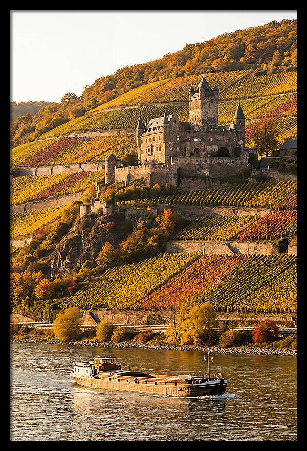 Rhine Valley Castle At Golden Hour