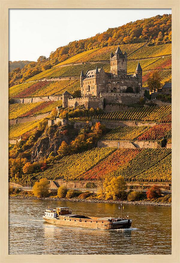 Rhine Valley Castle At Golden Hour