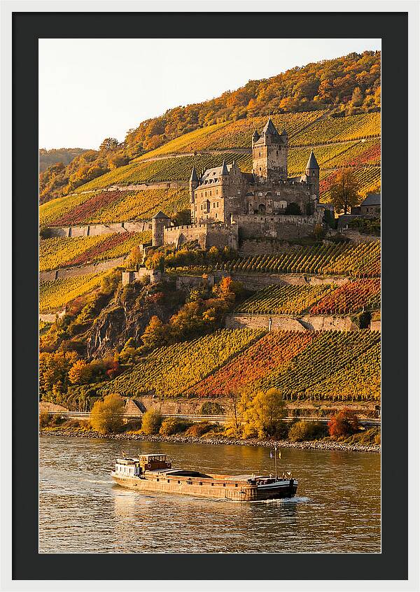 Rhine Valley Castle At Golden Hour