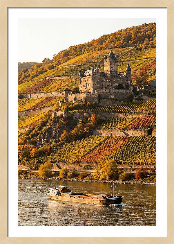 Rhine Valley Castle At Golden Hour