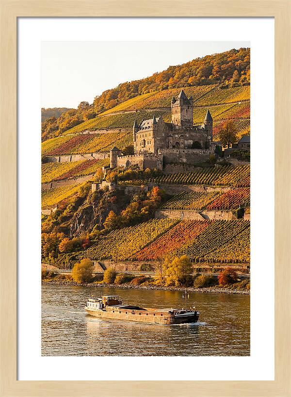 Rhine Valley Castle At Golden Hour