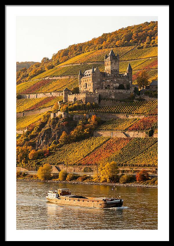 Rhine Valley Castle At Golden Hour