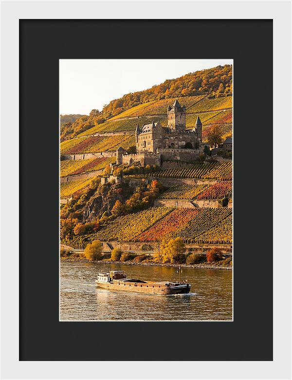 Rhine Valley Castle At Golden Hour