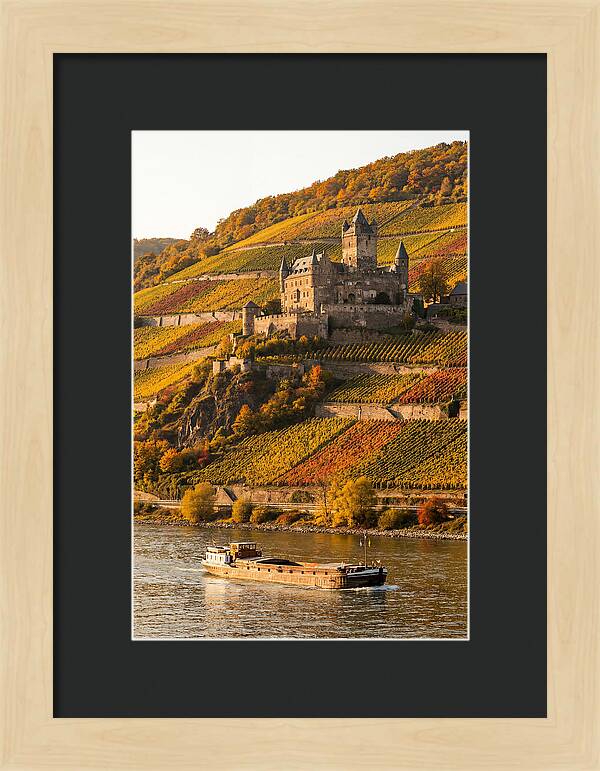 Rhine Valley Castle At Golden Hour