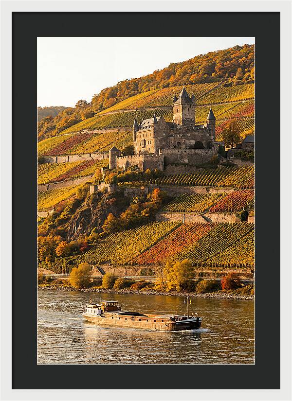 Rhine Valley Castle At Golden Hour