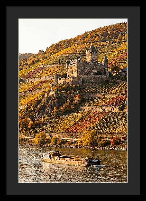 Rhine Valley Castle At Golden Hour