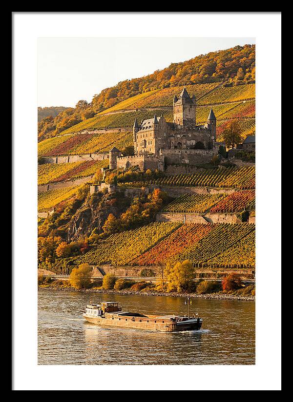 Rhine Valley Castle At Golden Hour