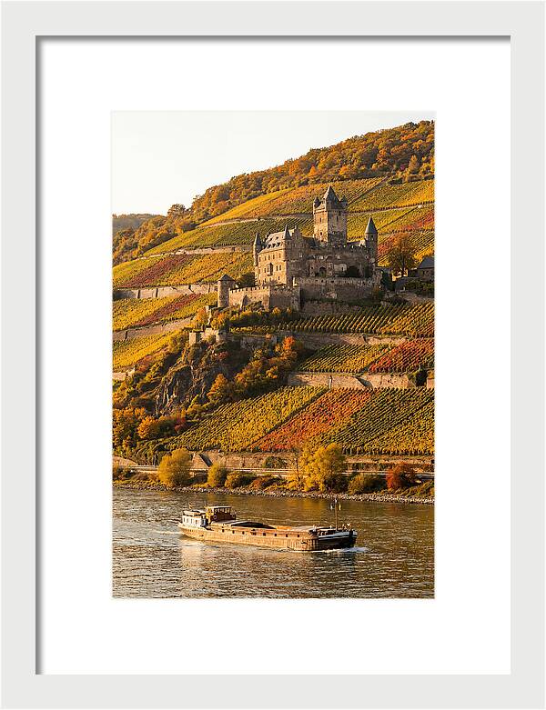 Rhine Valley Castle At Golden Hour